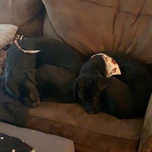 Meet your Posher, Jonathan